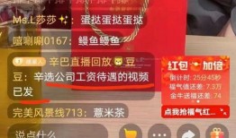 辛巴公司员工爆料视频,揭秘辛巴公司真实面貌